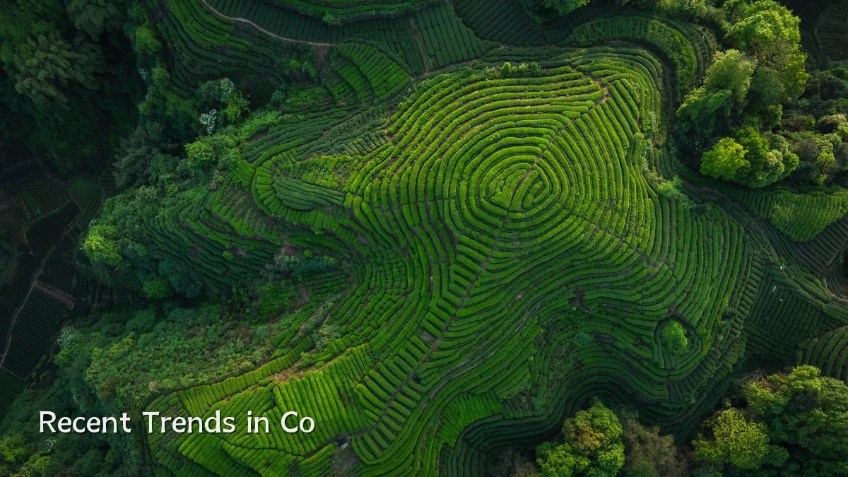 Recent Trends in Co