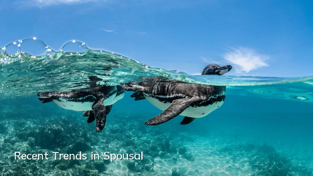 Recent Trends in Spousal