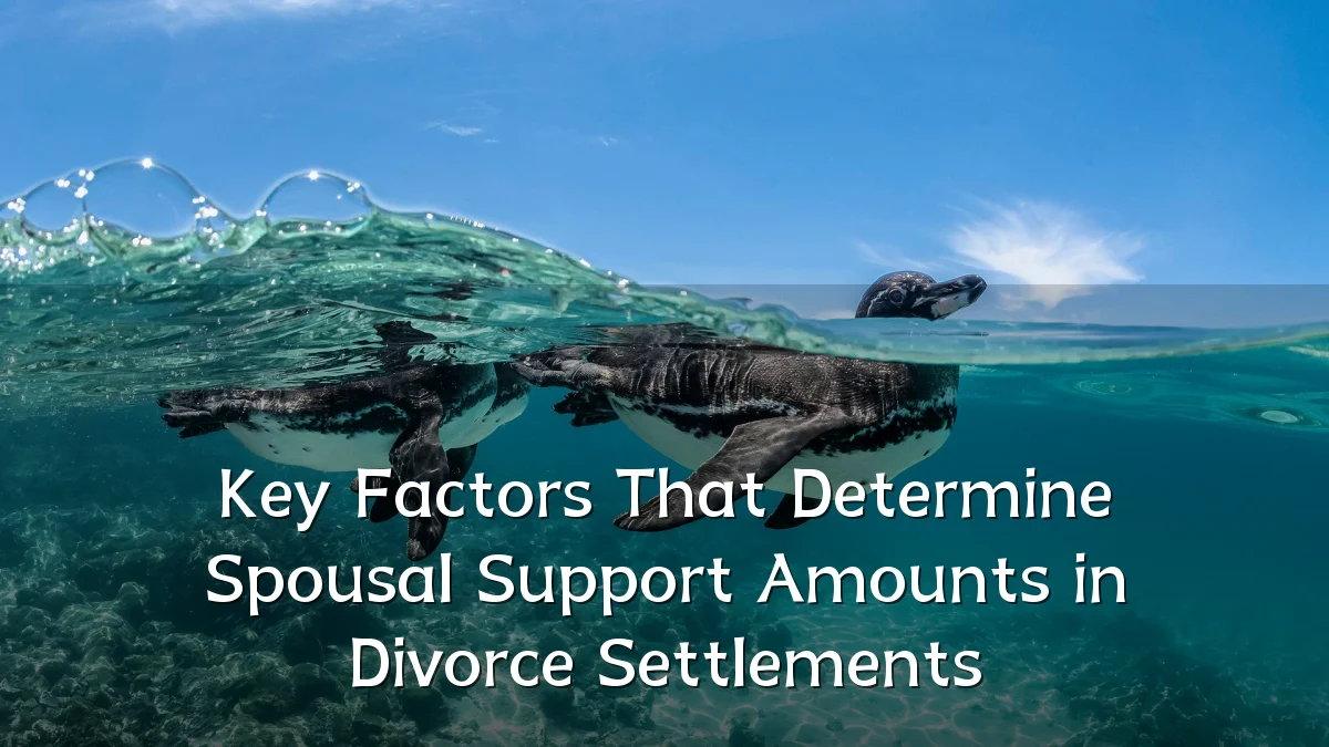 Key Factors That Determine Spousal Support Amounts in Divorce Settlements