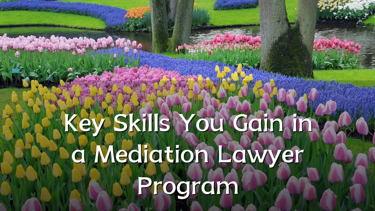 Key Skills You Gain in a Mediation Lawyer Program