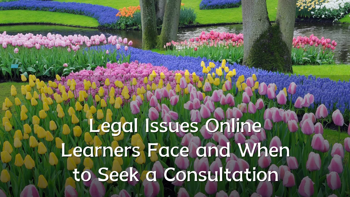 Legal Issues Online Learners Face and When to Seek a Consultation