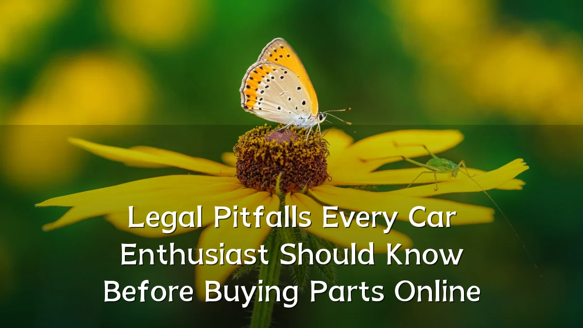 Legal Pitfalls Every Car Enthusiast Should Know Before Buying Parts Online