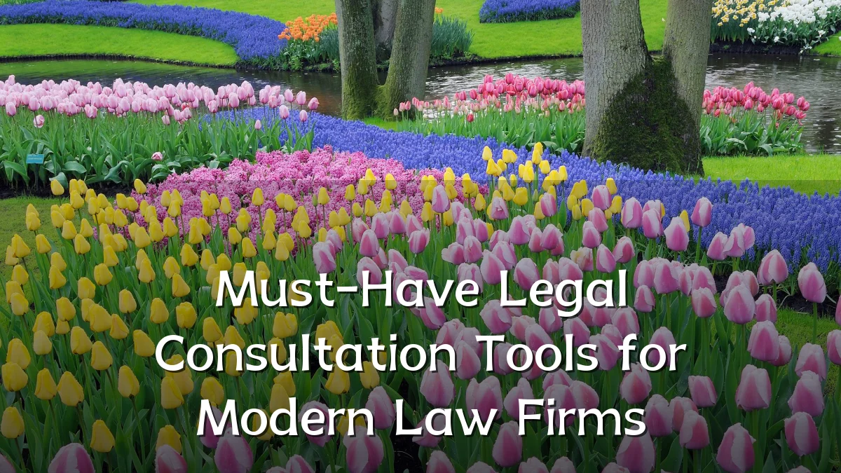 Must-Have Legal Consultation Tools for Modern Law Firms