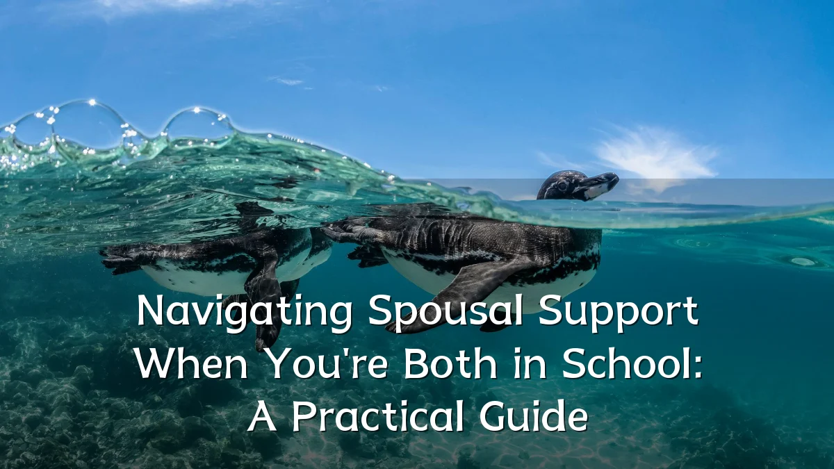 Navigating Spousal Support When You're Both in School: A Practical Guide