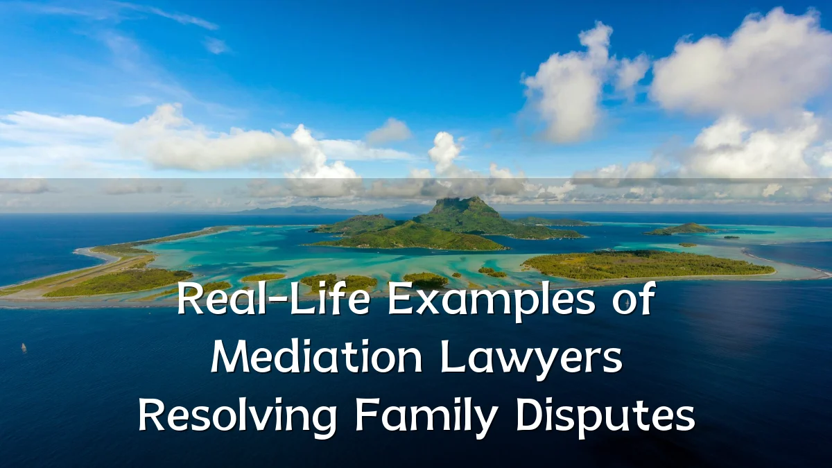 Real-Life Examples of Mediation Lawyers Resolving Family Disputes