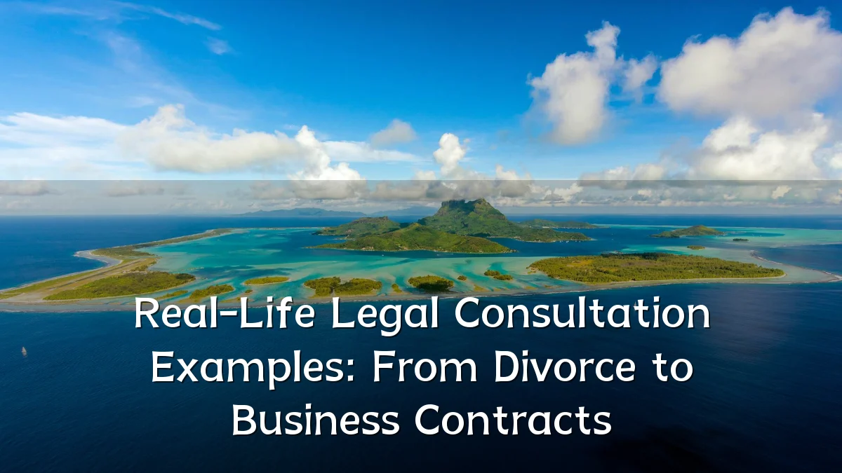 Real-Life Legal Consultation Examples: From Divorce to Business Contracts