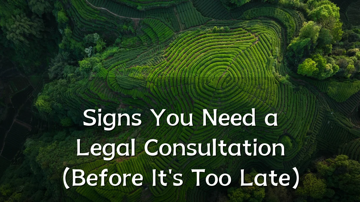 Signs You Need a Legal Consultation (Before It's Too Late)