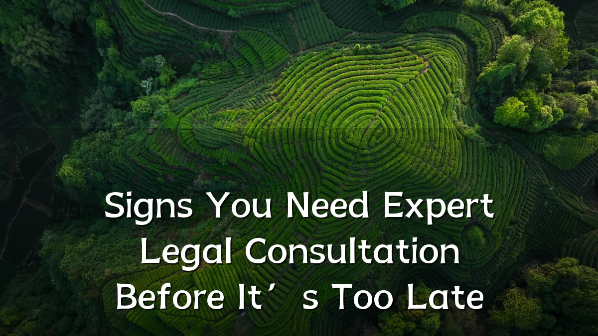 Signs You Need Expert Legal Consultation Before It’s Too Late