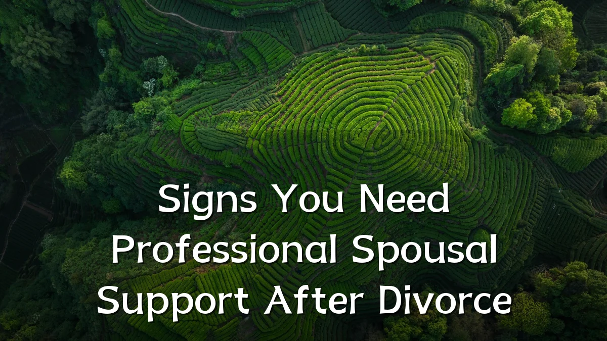 Signs You Need Professional Spousal Support After Divorce