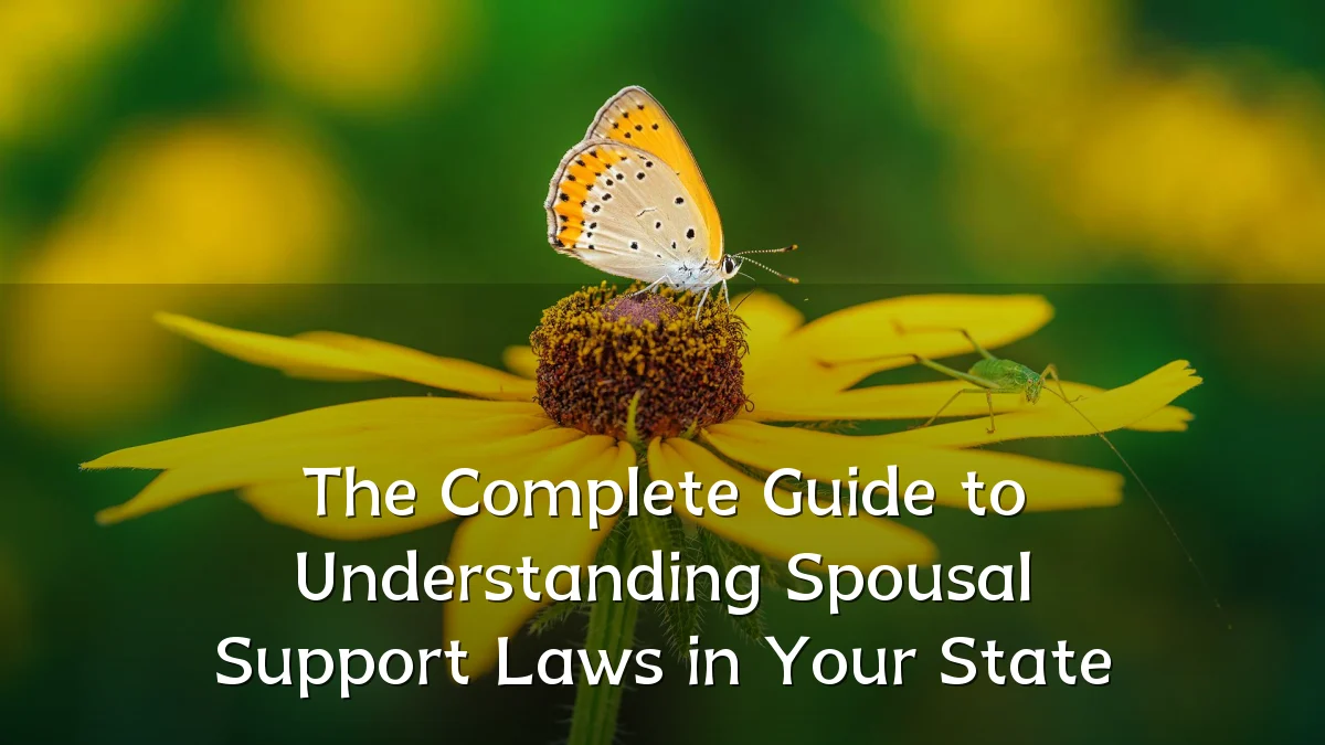 The Complete Guide to Understanding Spousal Support Laws in Your State