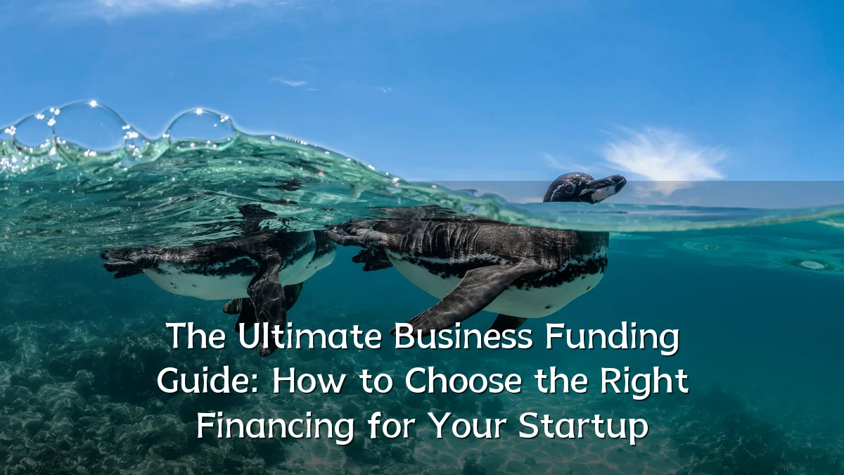 The Ultimate Business Funding Guide: How to Choose the Right Financing for Your Startup