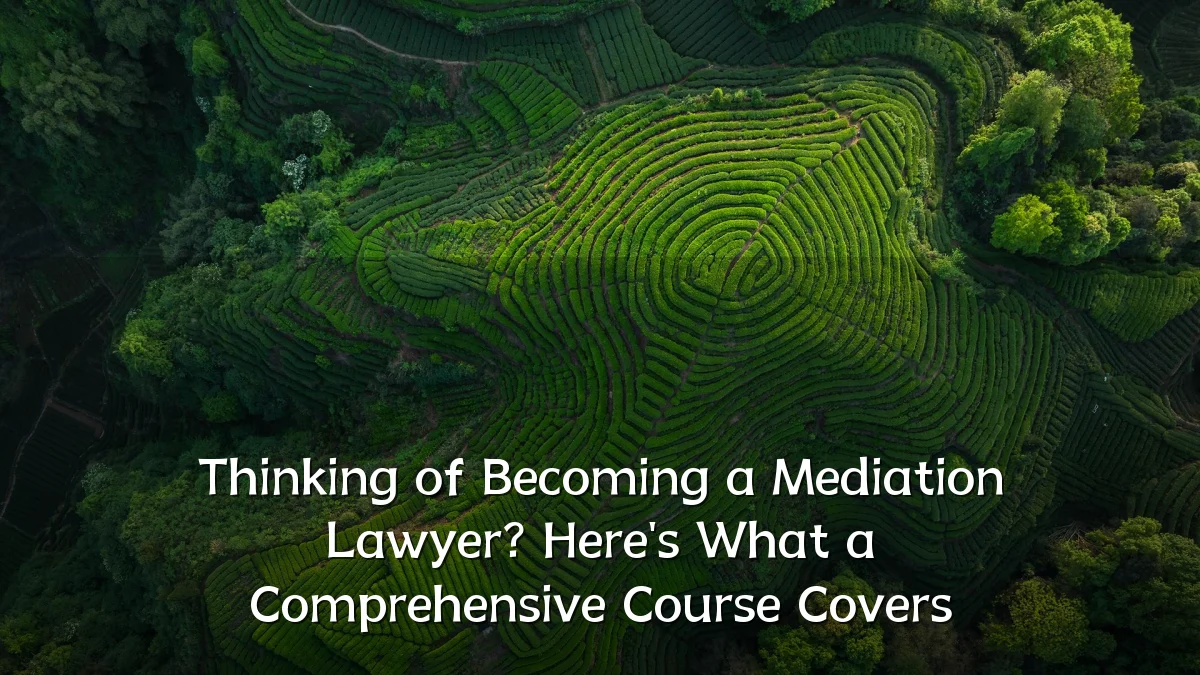 Thinking of Becoming a Mediation Lawyer? Here's What a Comprehensive Course Covers