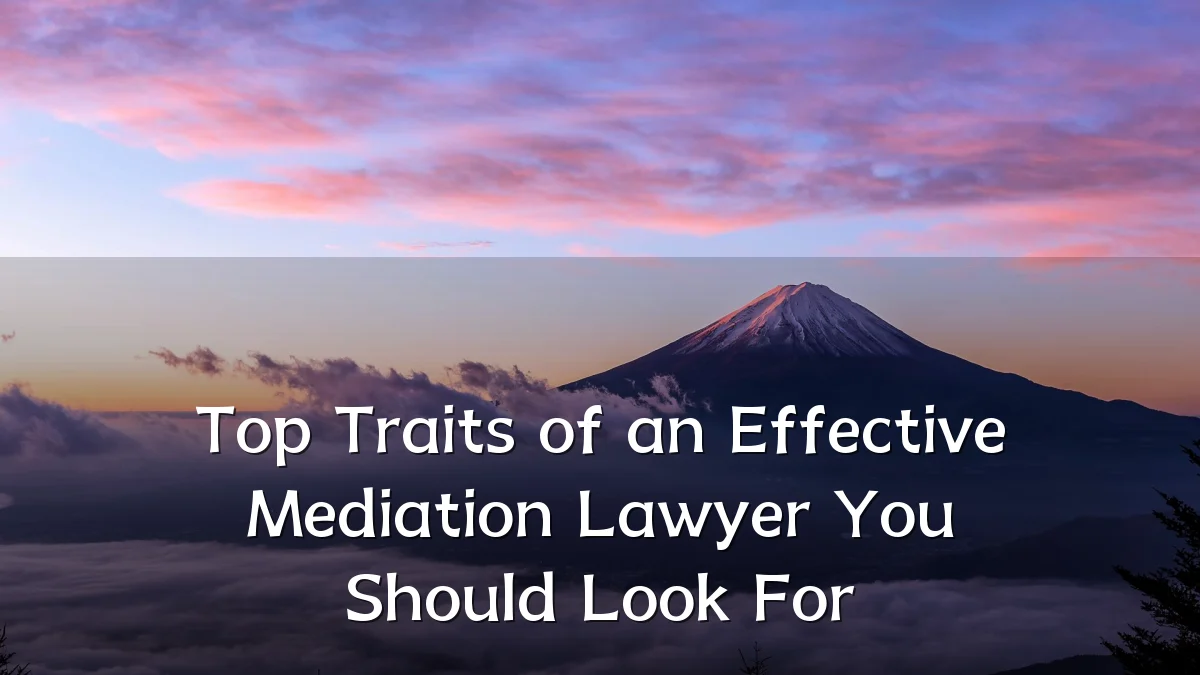 Top Traits of an Effective Mediation Lawyer You Should Look For