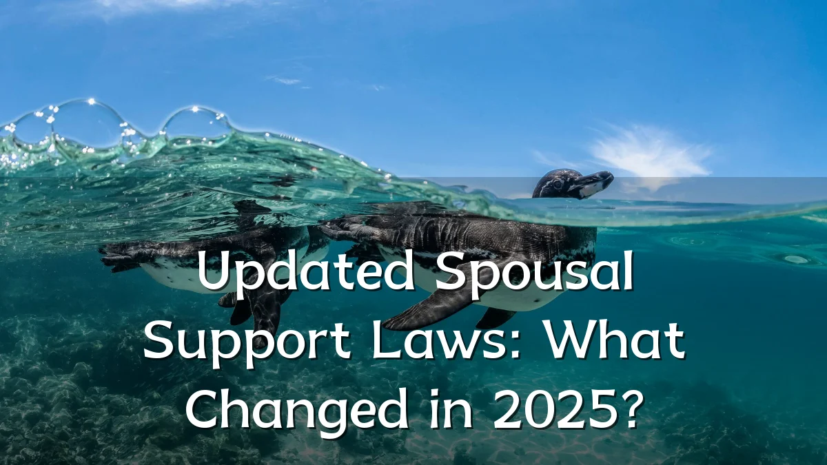 Updated Spousal Support Laws: What Changed in 2025?