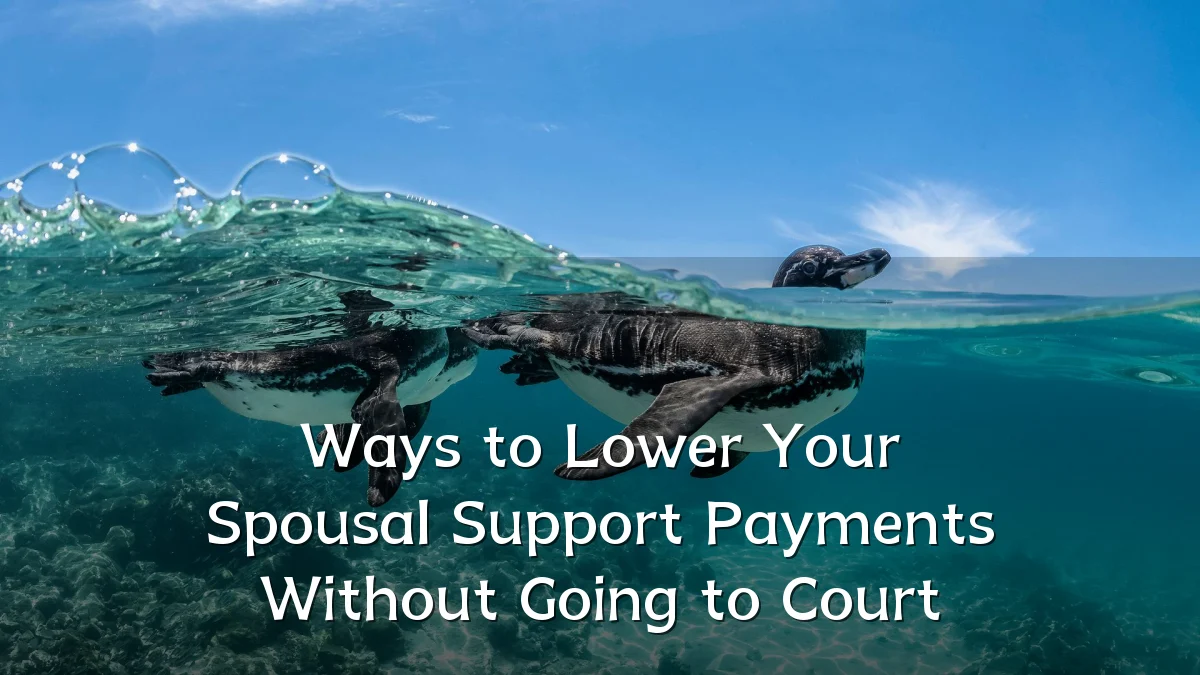 Ways to Lower Your Spousal Support Payments Without Going to Court