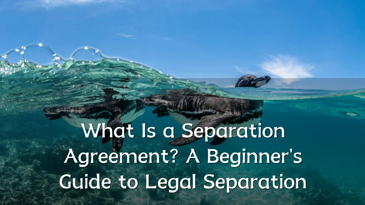 What Is a Separation Agreement? A Beginner's Guide to Legal Separation