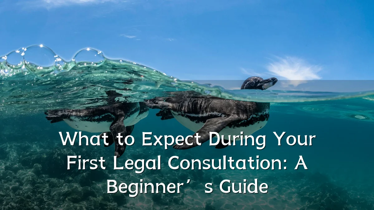 What to Expect During Your First Legal Consultation: A Beginner’s Guide