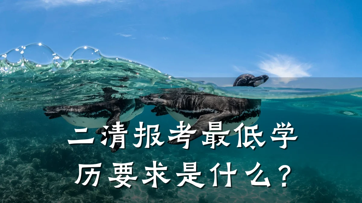 二清报考最低学历要求是什么？